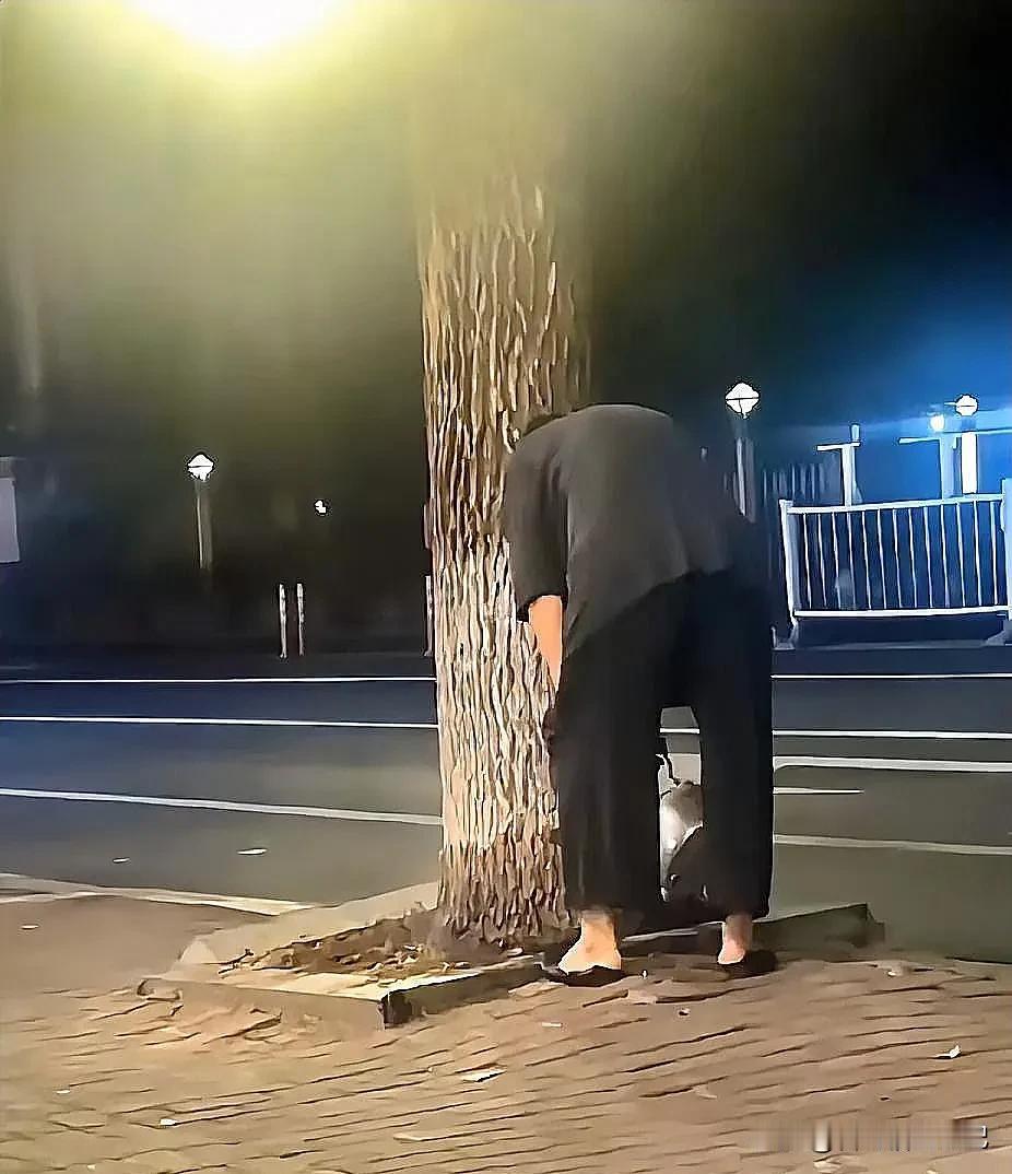 不信烫不死你！只因门前大树挡了门灯，大妈便和树较上了劲，不信弄不死你！于是，她想