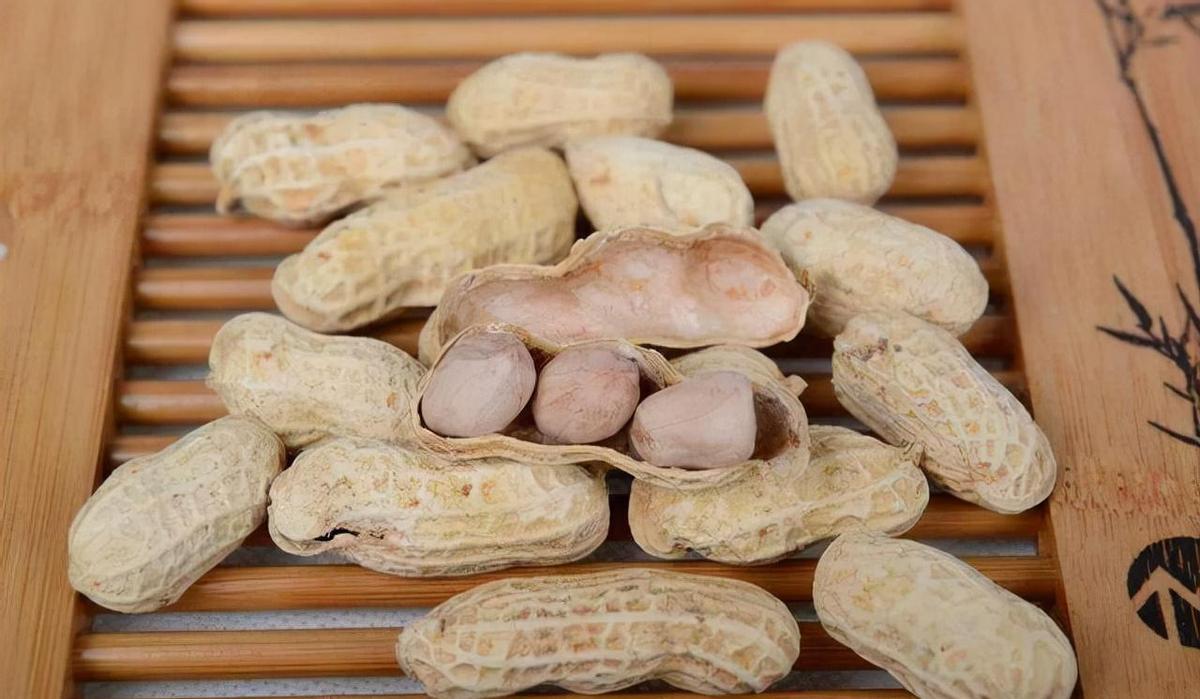 瓜子的营养成分与能量价值

在众多休闲食品中，瓜子因其独特的风味和丰富的营养成分