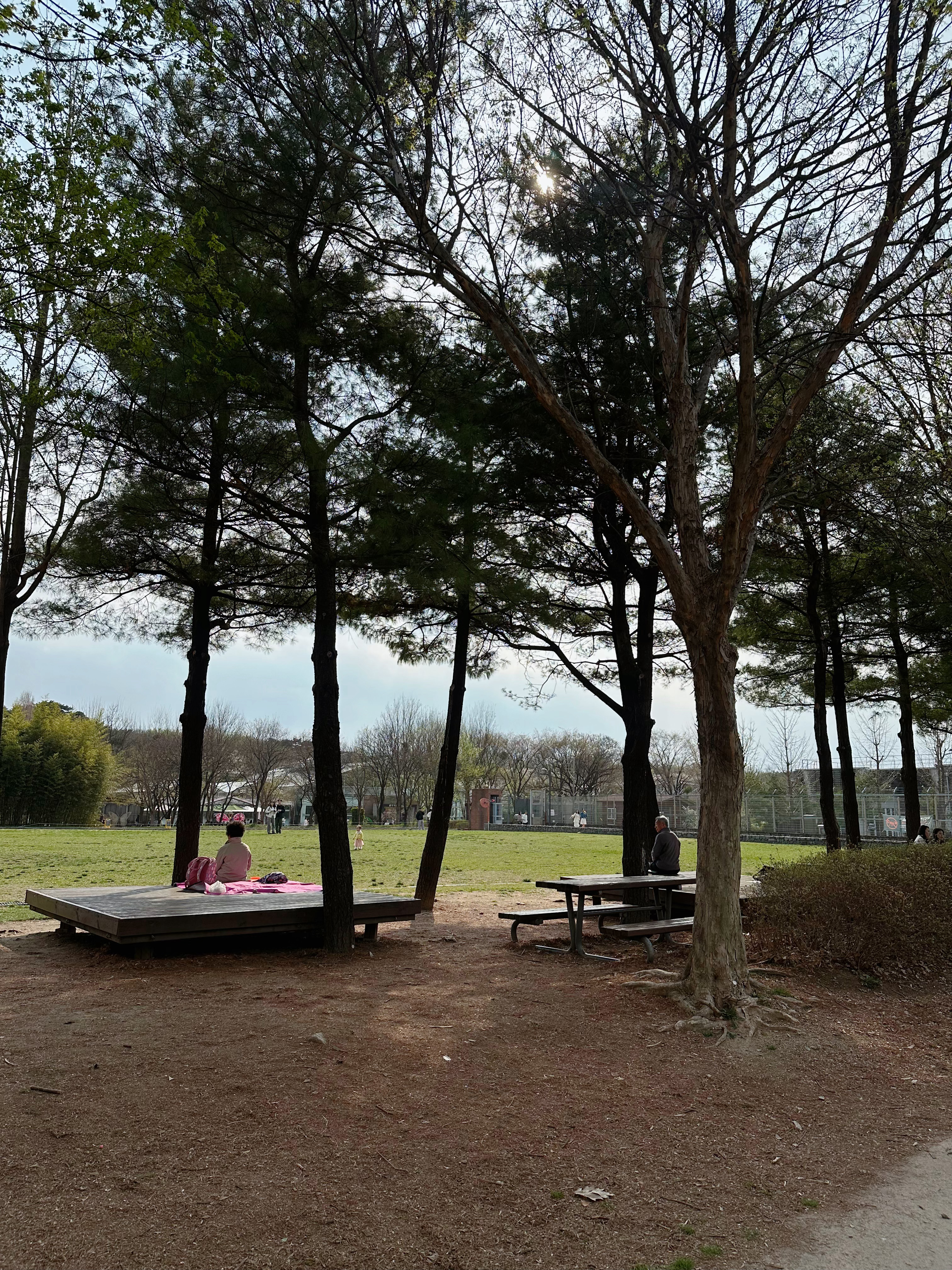 ☁️🫧🫧🫧Seoul forest是个适合发呆的好地方  ​​​