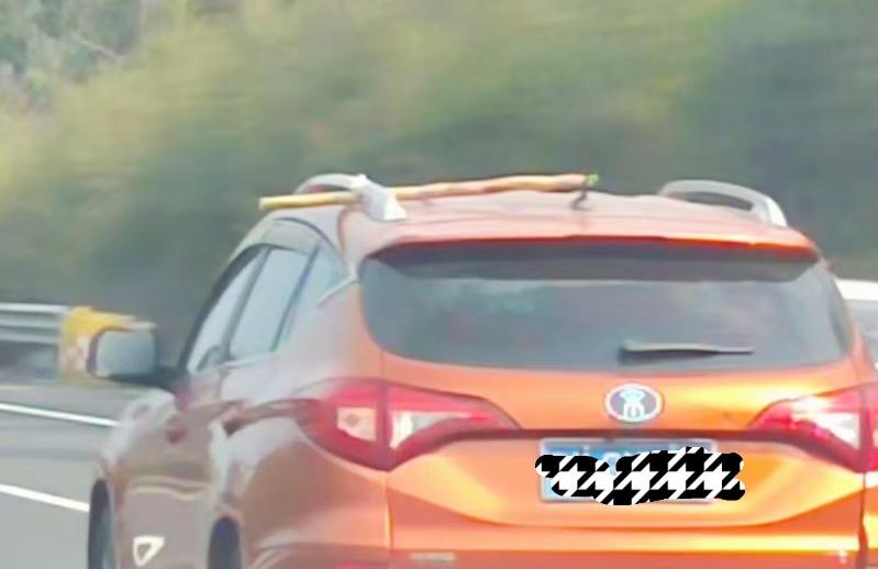 高速偶遇“炫富天花板”！半截黄金甘蔗绑车顶，跨城几百公里护送回家。今年这甘蔗价堪