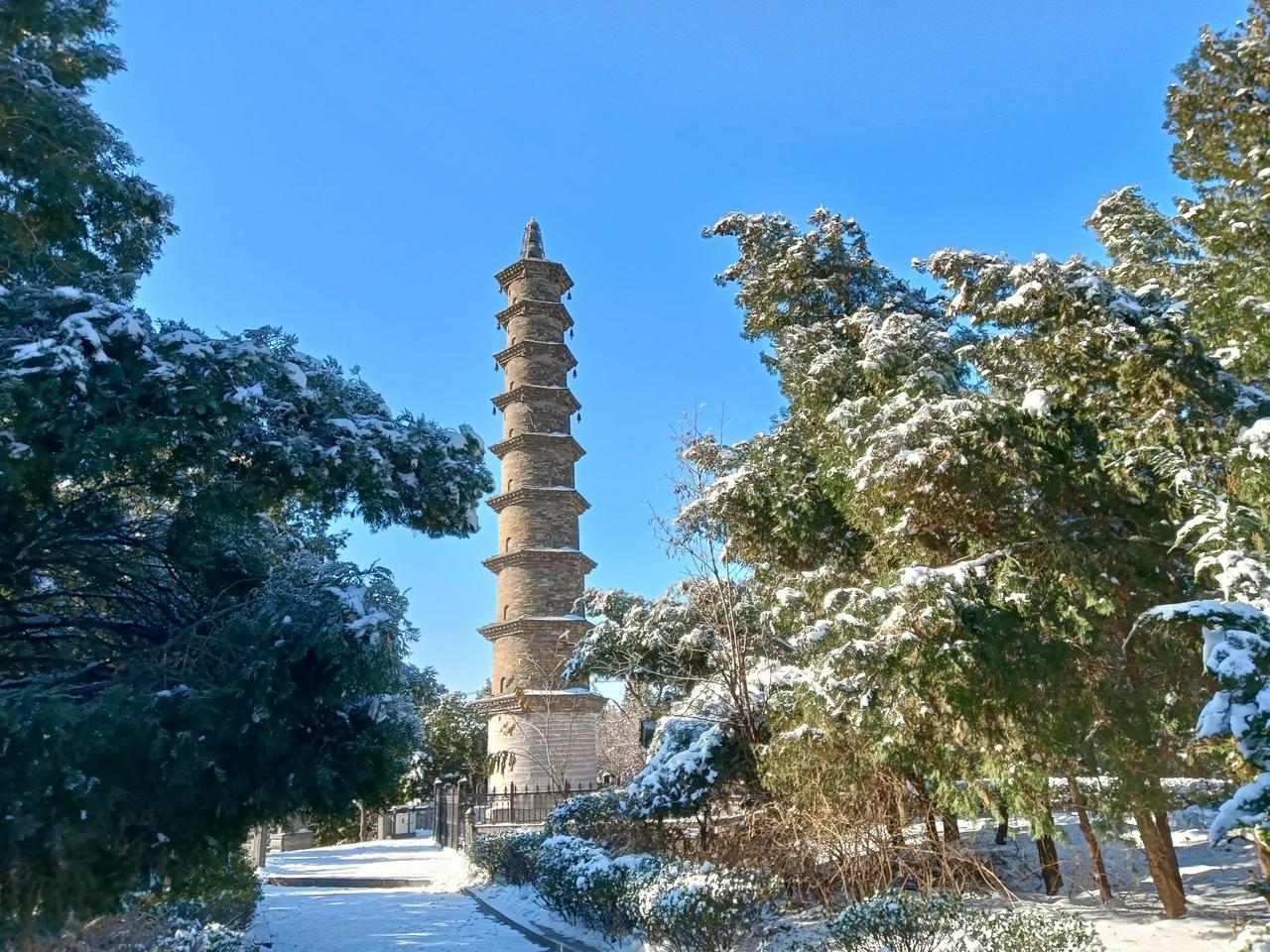 北方过年笑哈哈，
拜年红包鼓厚厚。
儿孙满堂福多多，
幸福家庭乐陶陶。