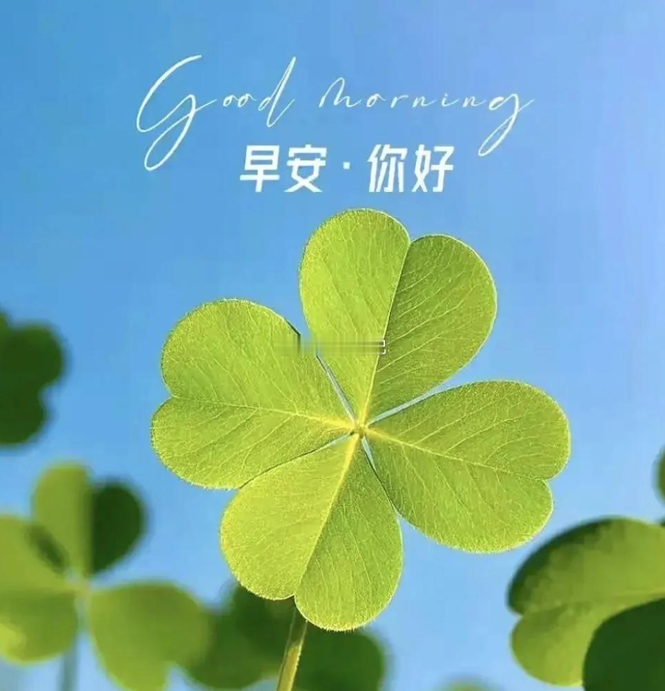 周一 勤于思考、勤于阅读、勤于实践，才能让梦想的种子开出最绚烂的花。新的一天，早