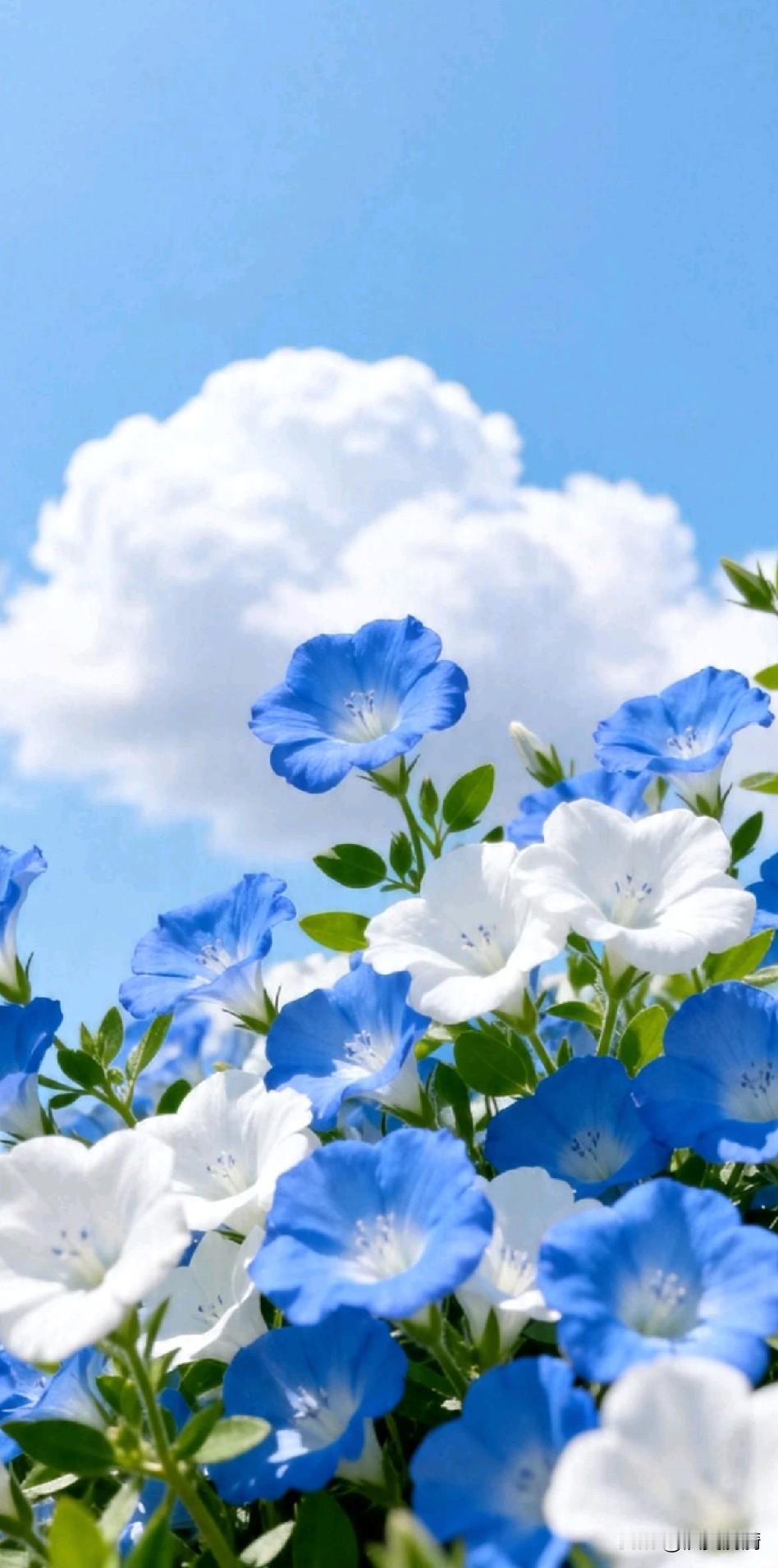 《守心论》

心为身主，神乃气君
静观万象，淡看浮云
顺逆不改，荣辱不惊
事理自