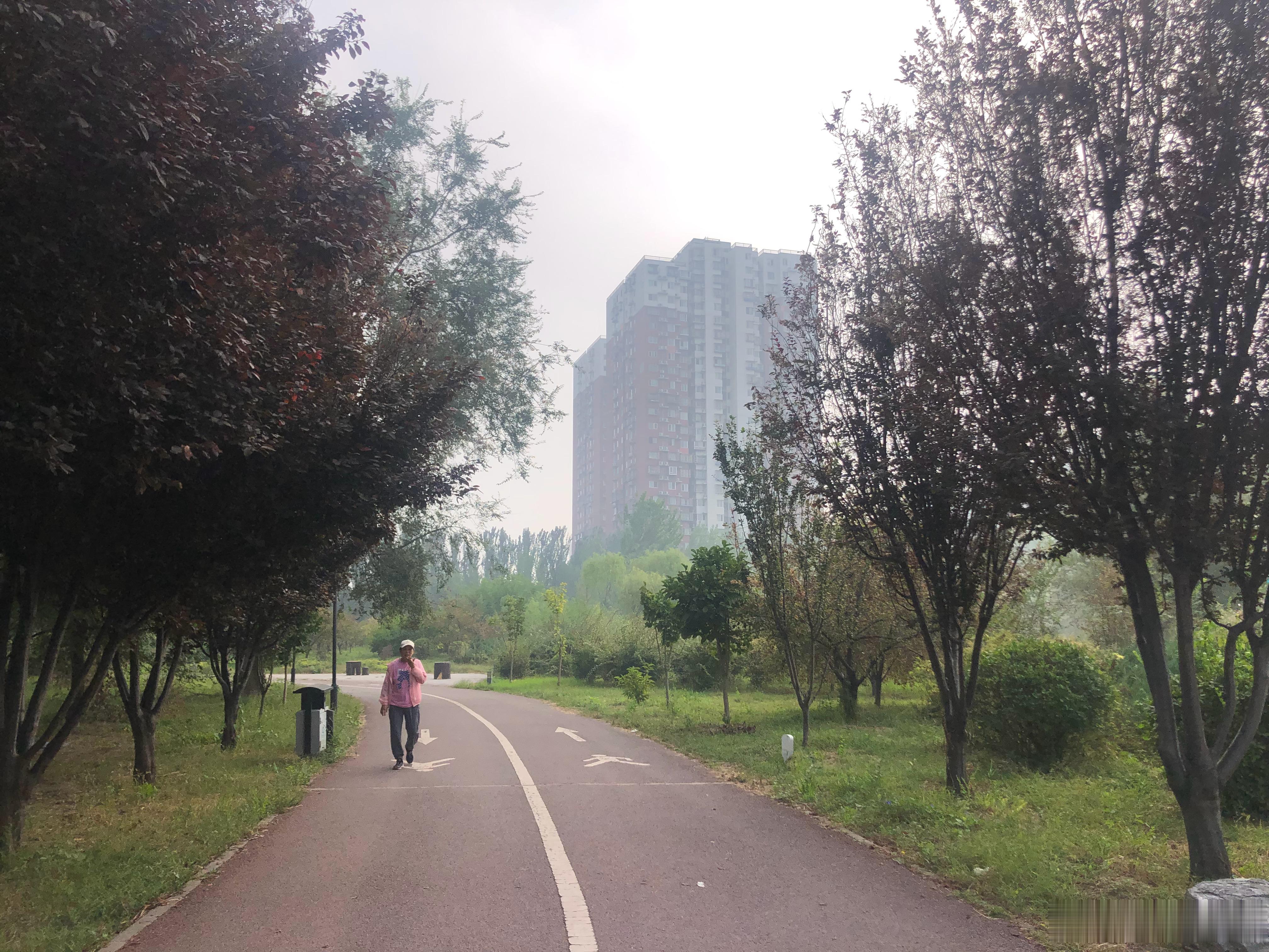 跑步……🏃‍♀️🏃‍♀️🏃‍♀️ ​​​