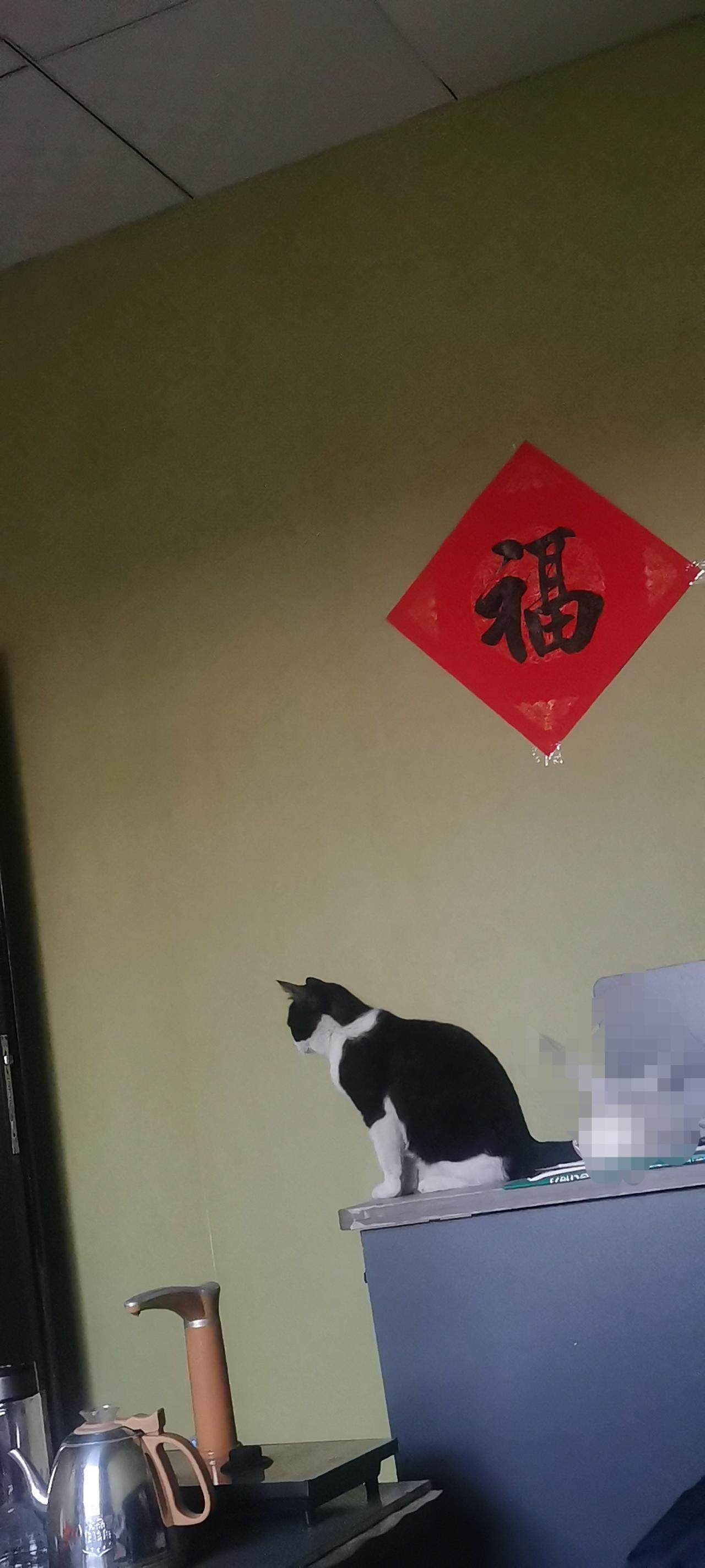 明天，又是一年的三月初三，请大家自觉行好事，莫问前程，必有福报。