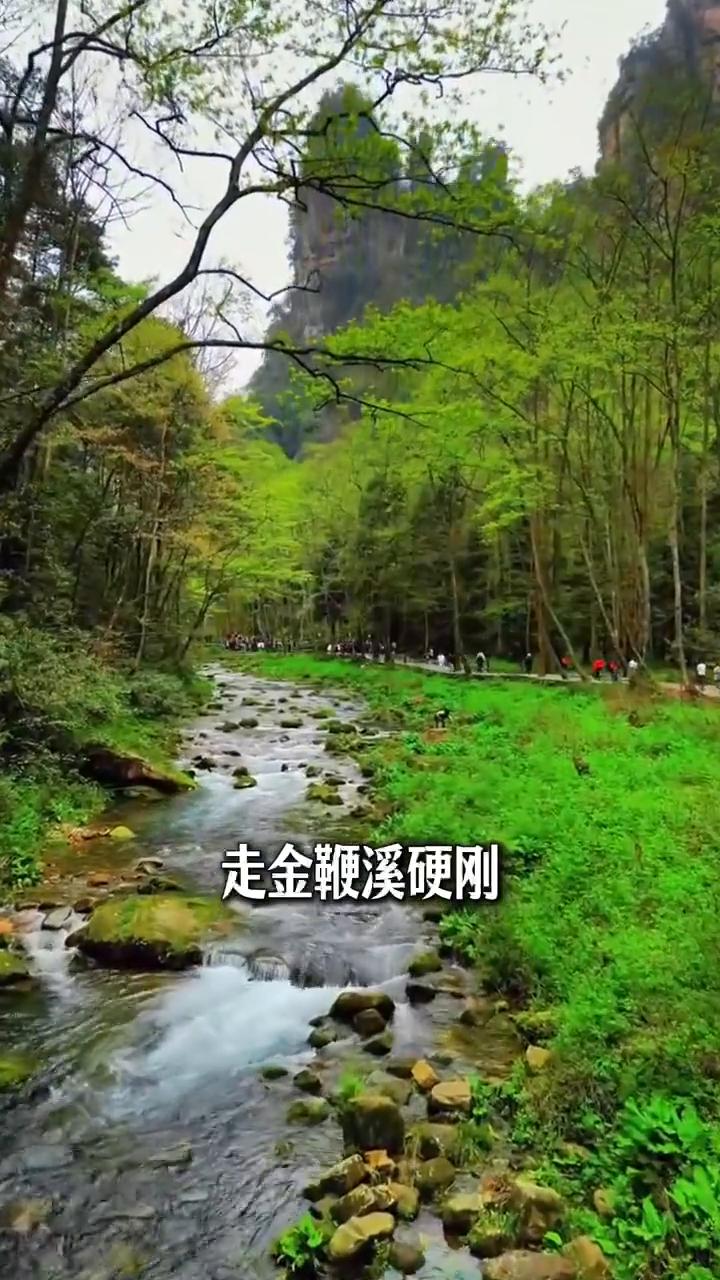 张家界会惩罚每一个不听劝的人。
张家界会惩罚每一个不听劝的人。
·第一、不听劝的