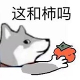 玲生谈谈科技