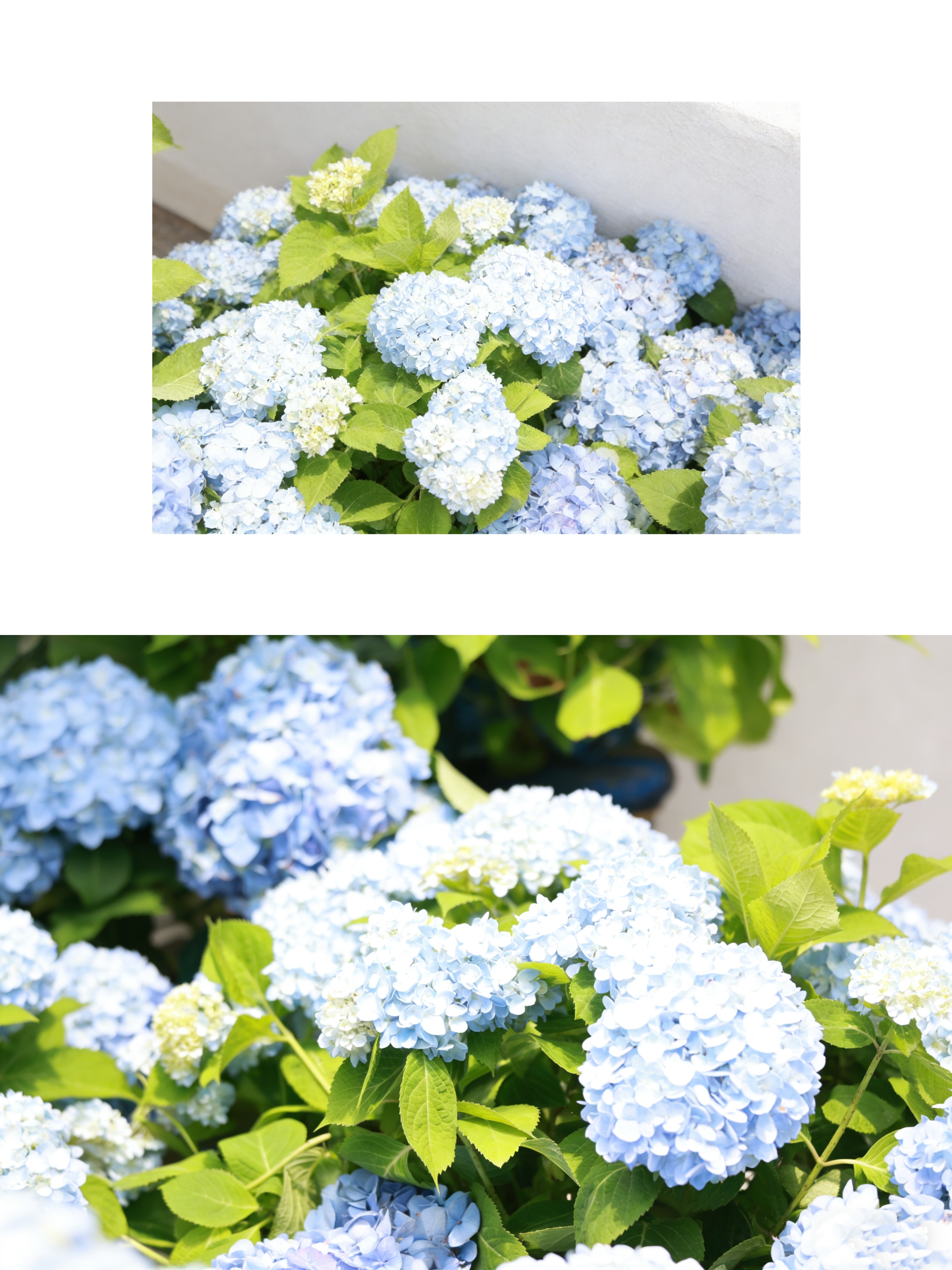 如果天气好的话📸依旧是家人们投票选封面～每日穿搭我的日常plog