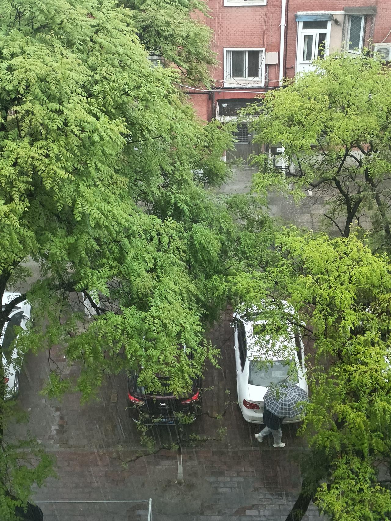 下午突如其来毫无征兆的下起了大雨，差点没来得及关窗户！

这毫无防备的雨下的还不