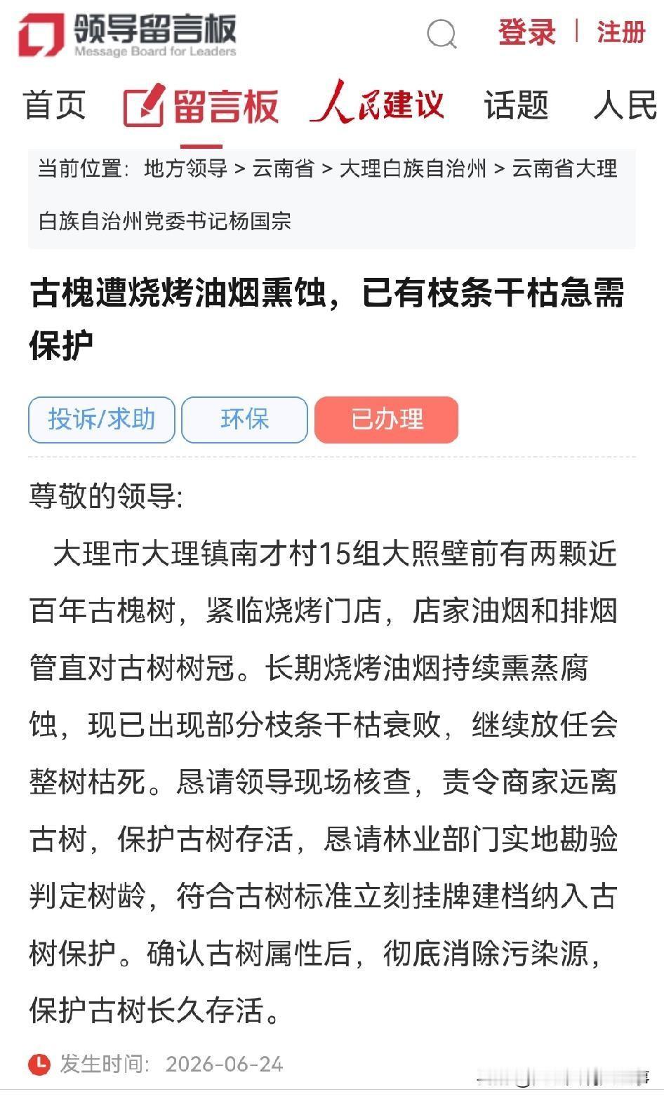 网民向大理州委书记留言反映：古槐遭烧烤油烟熏蚀，已有枝条干枯急需保护，官方回复→