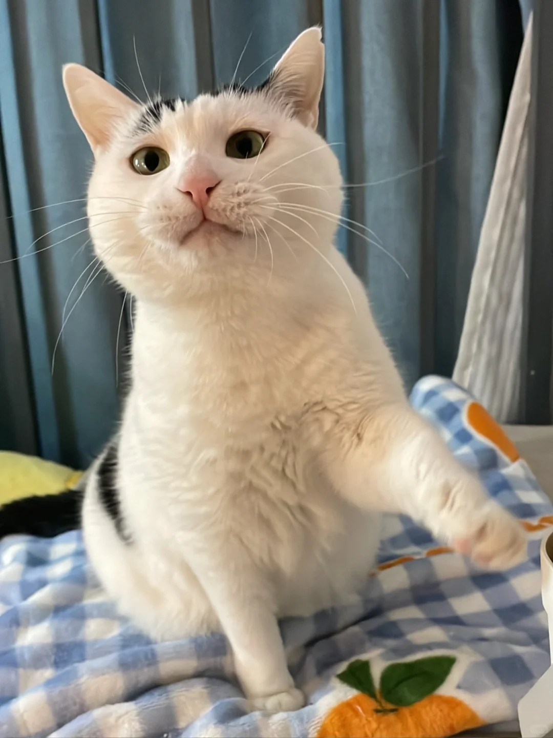 喜欢这种用劲的屎努子