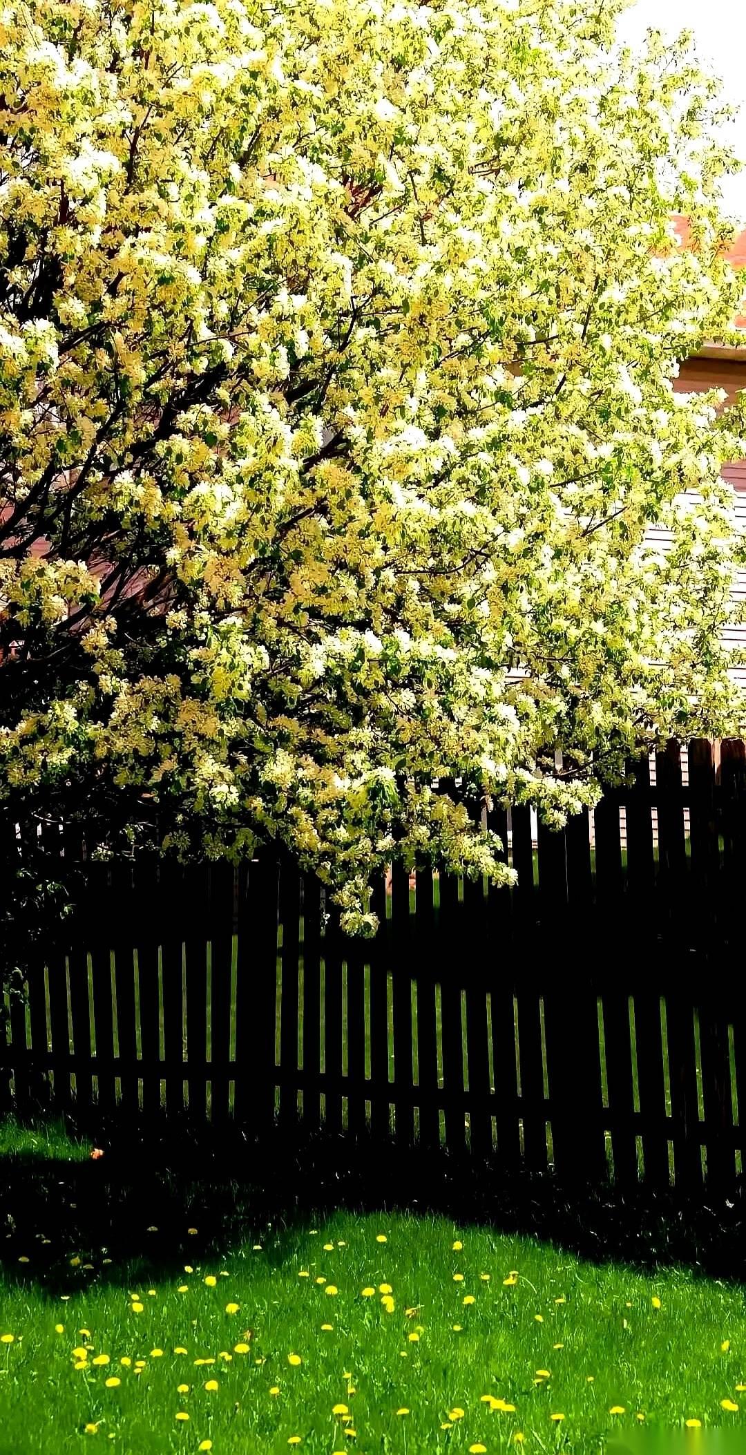 那个女技师，连脸都没露，就把工牌晃了一下。
就这么个几十秒的视频，评论区直接炸成
