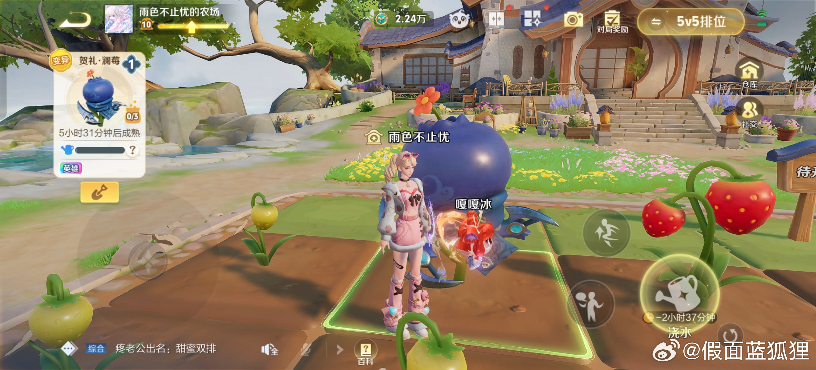 王者荣耀 S43赛季让我最关心的就是我的菜可别让人偷了，它快长好了蓝莓🫐 