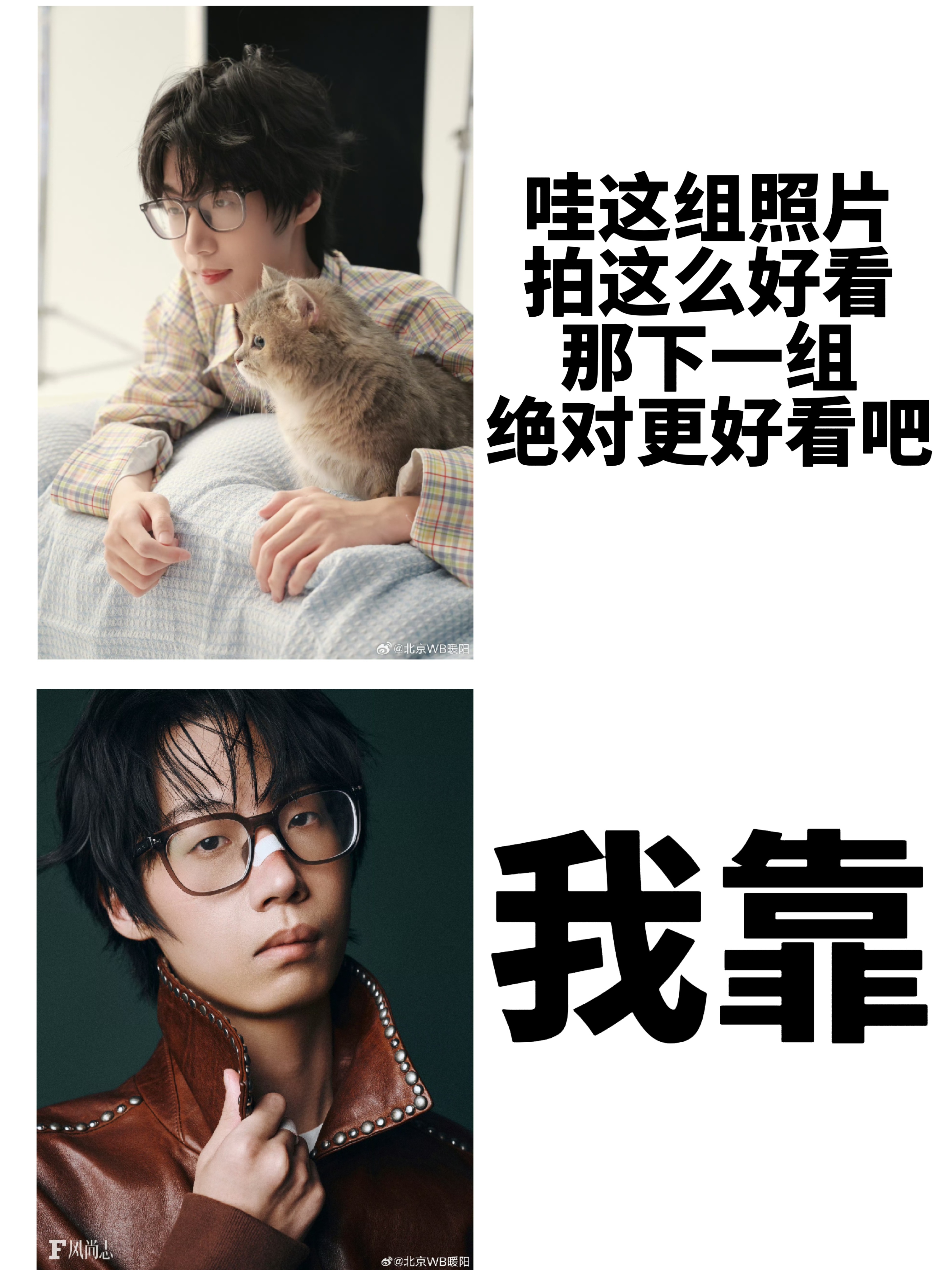 分享图片 