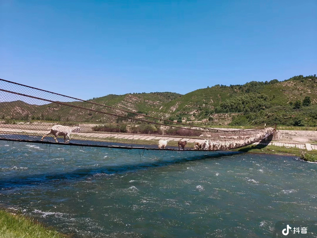 努力不是为了超越别人，而是为了成全更好的自己。晚安💤💤 