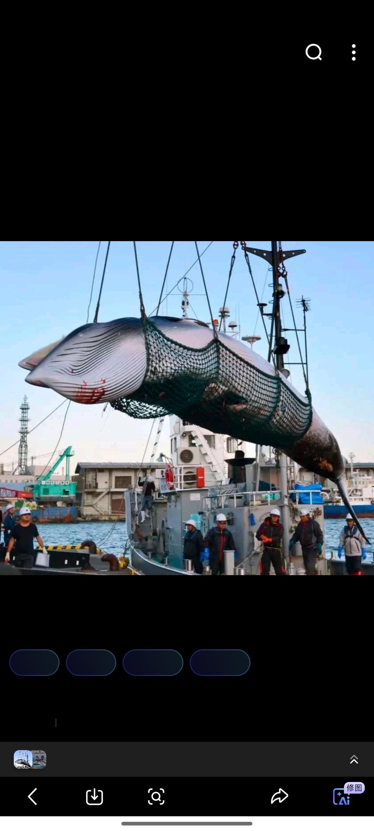 侵华战争及二战期间，由于大量的男性被征召军队参加战争，因此，对于人体食品必须的肉