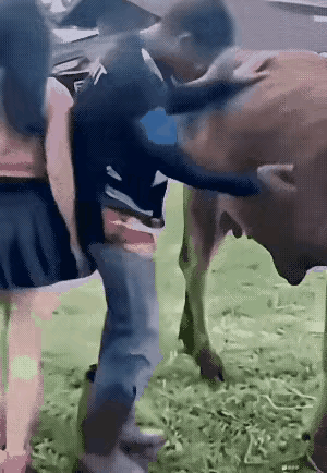 这个男子真不讲究，居然玩起了嫁祸于牛的游戏，让这头无辜的老牛背黑锅，牛虽然不会说