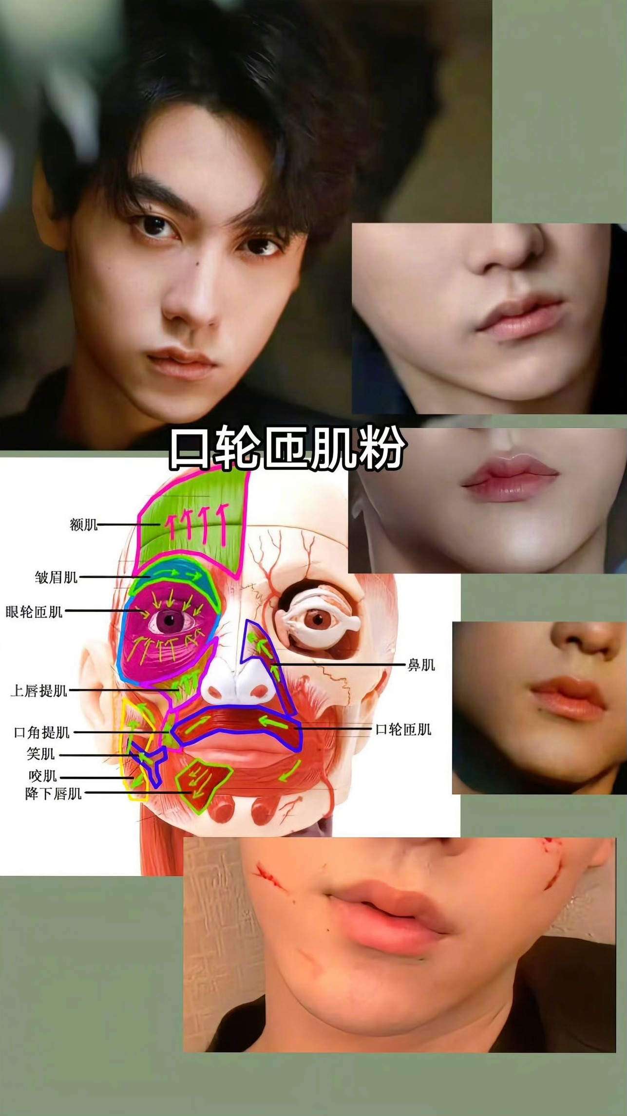 田栩宁没有法令纹的原因找到了一直看田栩宁没有什么法令纹，原因找到了，原来是有“帅