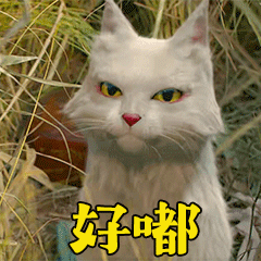 #国足晋级18强赛#以后国国们聚餐，让新加坡先动筷！[喵喵] ​​​