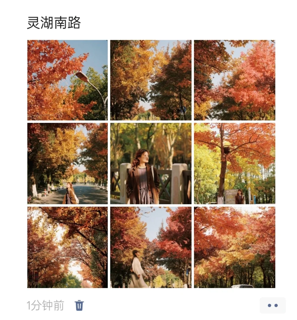 嘉兴能有多红？