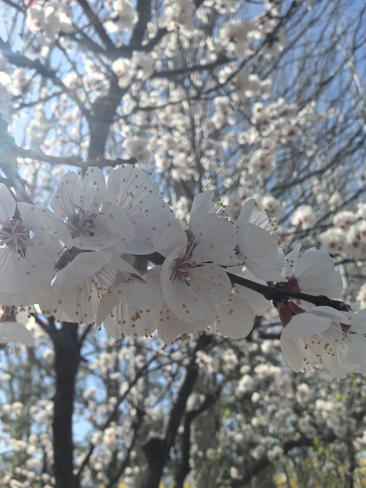 做天难做四月天，蚕要温和麦要寒。
出门公子盼晴好，种田人家要雨绵。