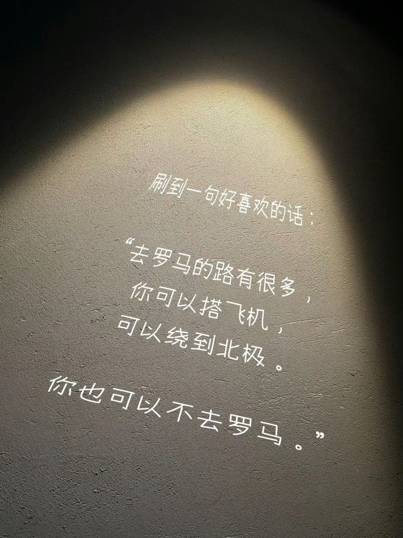 刷到一句好喜欢的话：“去罗马的路有很多，你可以搭飞机，可以绕到北极。你也可以不去