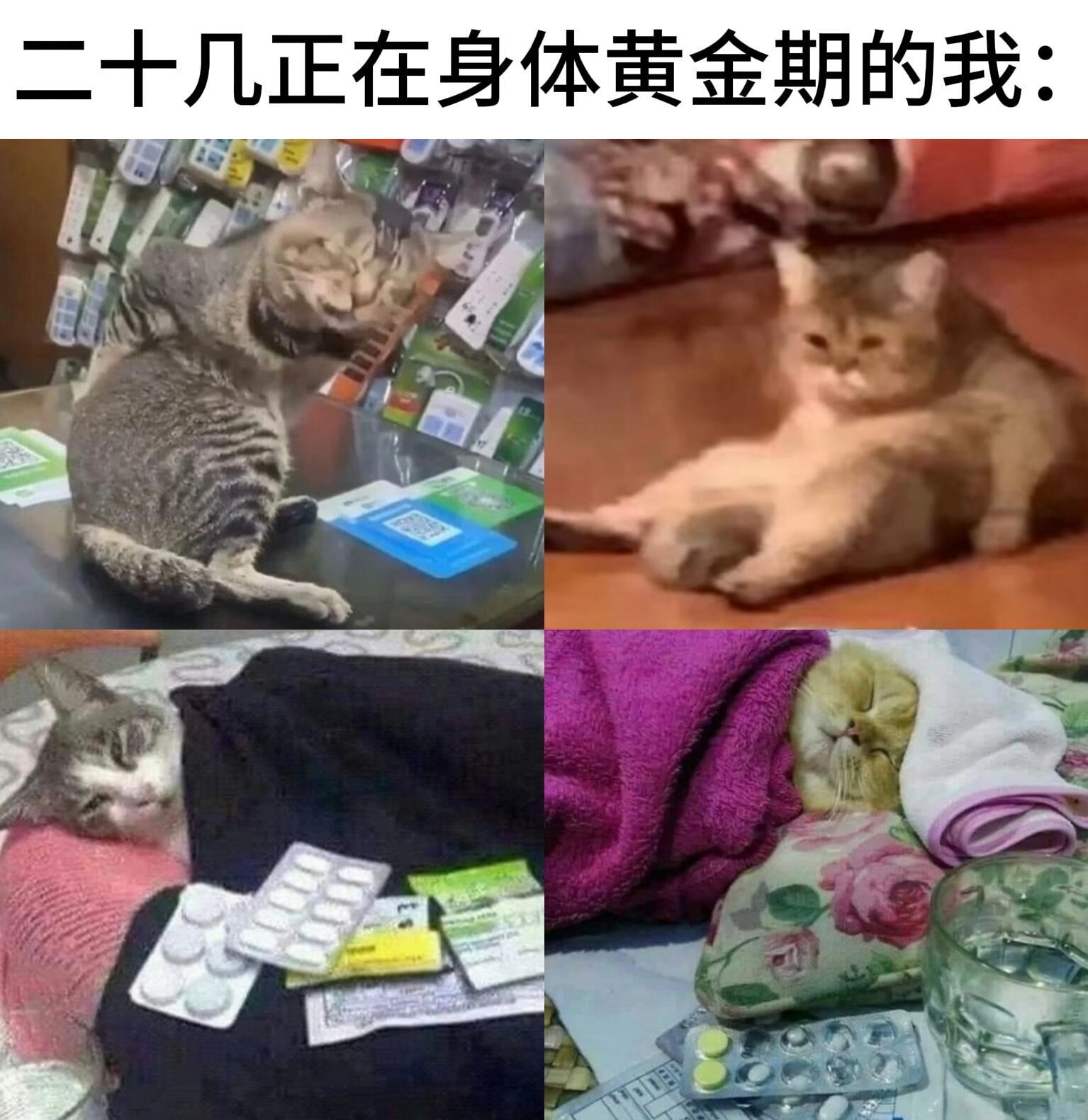 脆皮年轻人memes