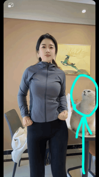 猫咪都看呆了！