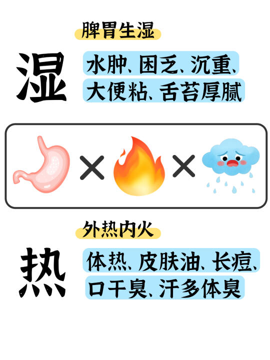 湿热体味重，爱出油，粘腻不清爽