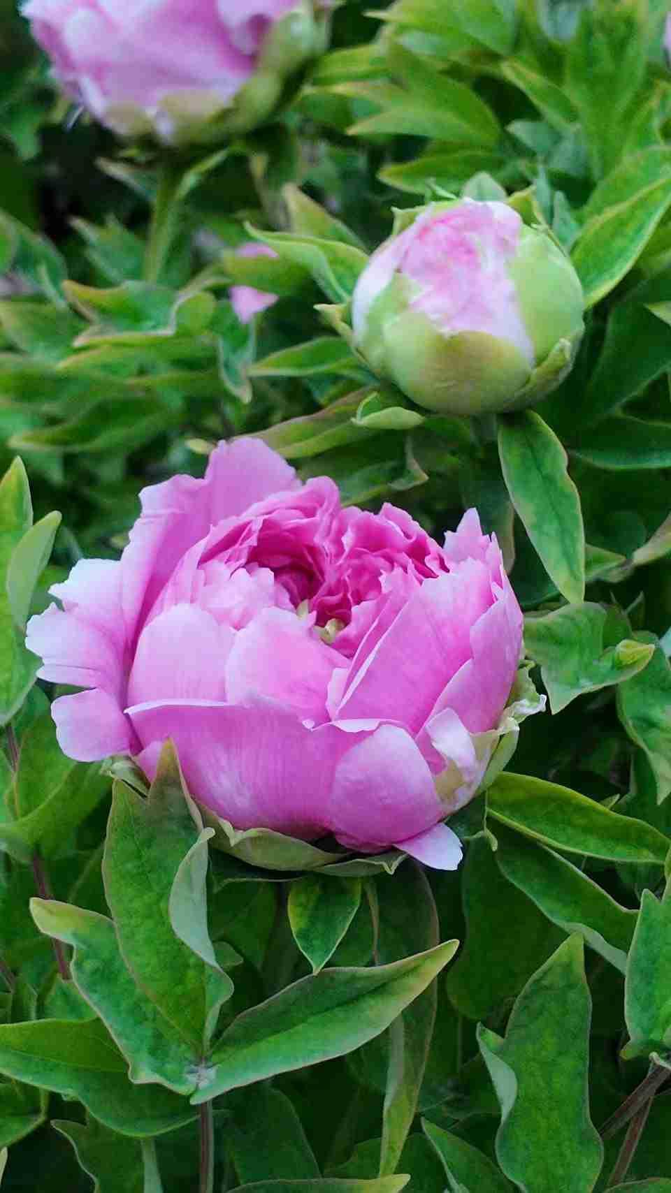 我的今日状态：😁轻松愉快
我这里的天气：☀️晴天