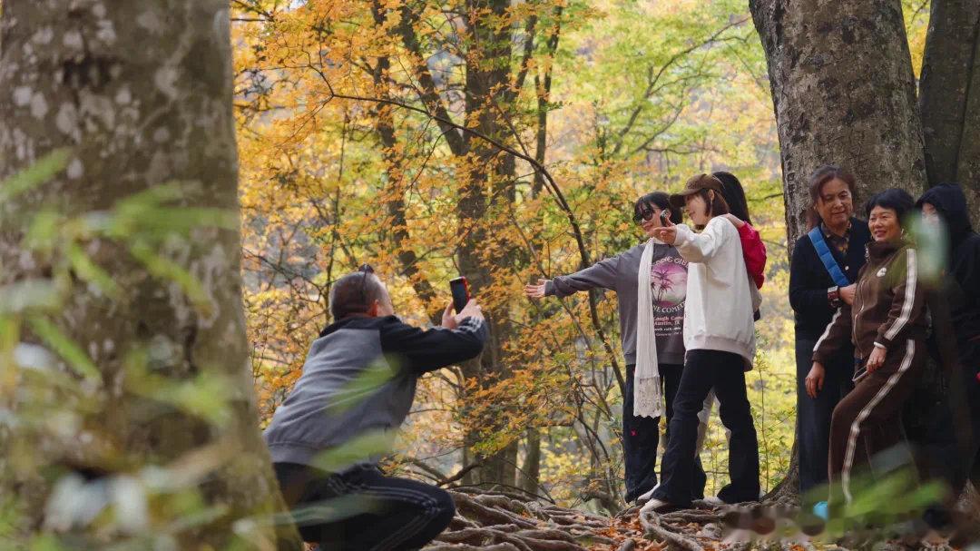 #2024光雾山红叶正值最佳观赏期##四川光雾山今年红叶观赏期延长#此时的光雾山