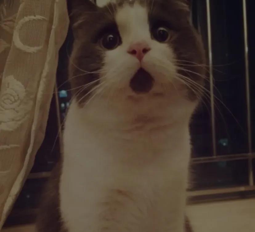 凌晨六点，被台风声呼醒
虽然已经提前紧闭门窗，但是大颗的雨滴强击玻璃窗所产生的炸