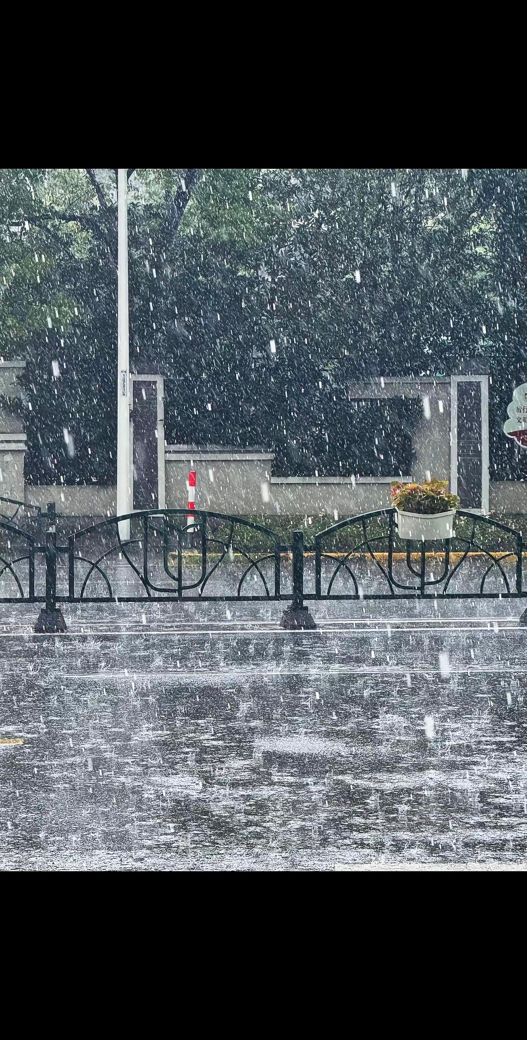 上海变海上上海徐家汇出现特大暴雨上海的雨鲨疯了，上海这场雨，导航都懵:“前方道路