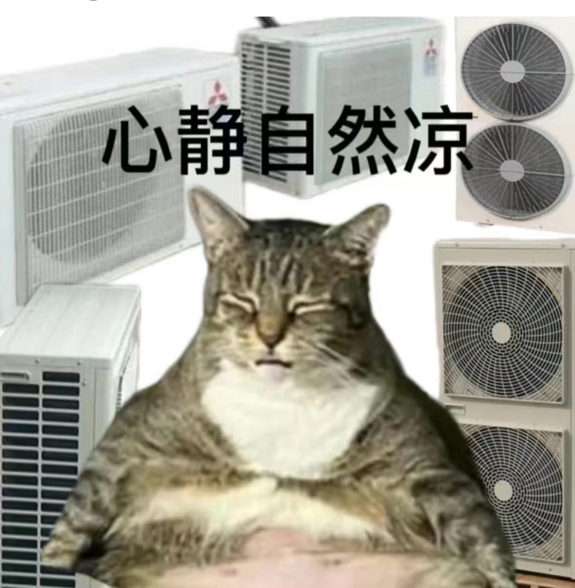 【#2023年夏季为两千年来最热#】《自然》的一项研究认为，2023年夏季是北半