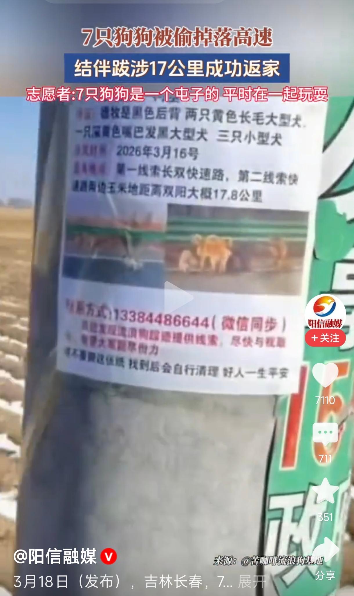 7只狗狗被偷掉落高速 跋涉17公里返家
        这真是一个温暖人心的故事