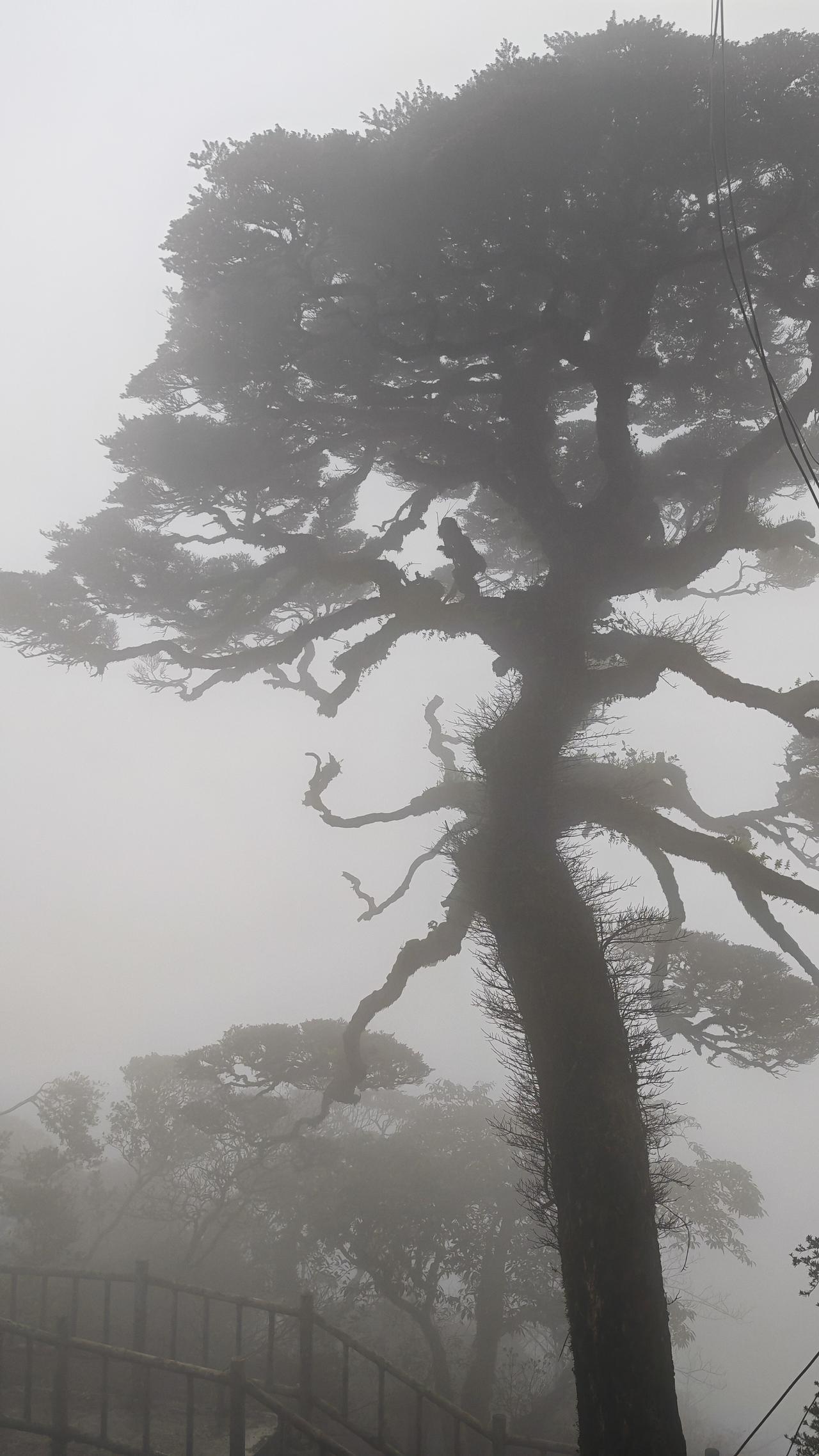 晒晒你的原创摄影作品雾中登圣堂山