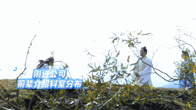 ​杨洋人在新疆只想修仙  就这个《凡人修仙传》爽！终于演到韩立进到黄枫谷剧情了，