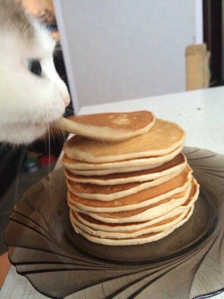 我吃吃吃吃吃 ​​​
