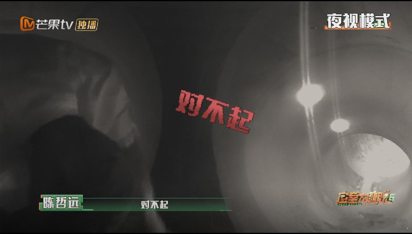#陈哲远胆小但有礼貌##陈哲远边爬边说对不起# 陈哲远边爬边说对不起哈哈哈哈哈哈