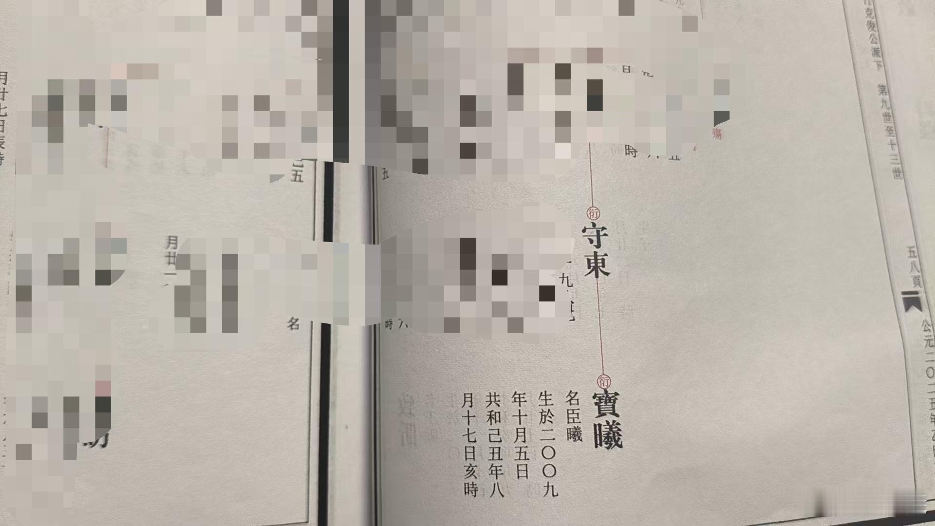 要在族谱单开一页，也是极大难度的事. 