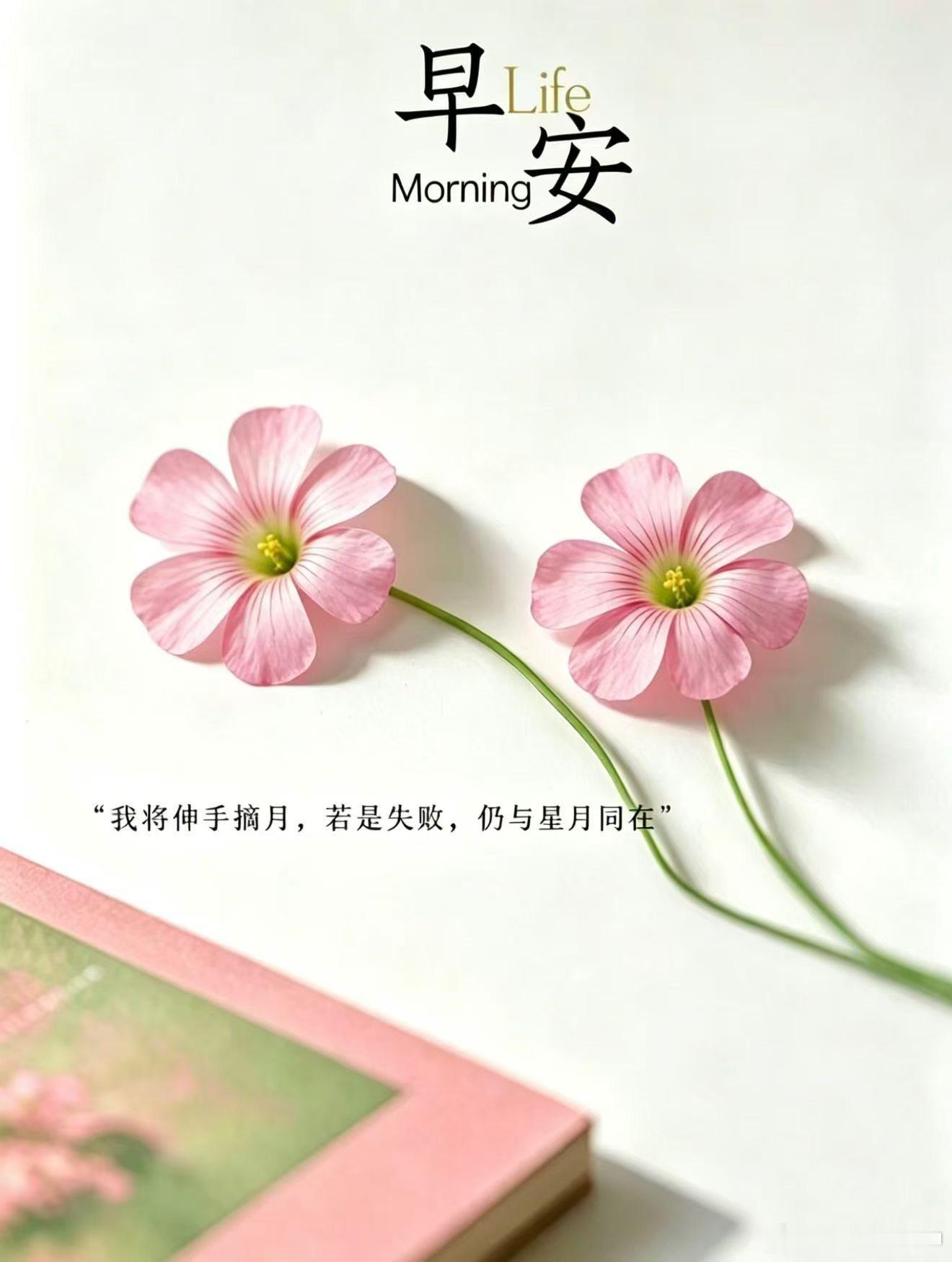 早安 人生如酒越陈越香，四季如诗越吟越入味。一花一叶含清趣，一粥一茶蕴温柔，愿你
