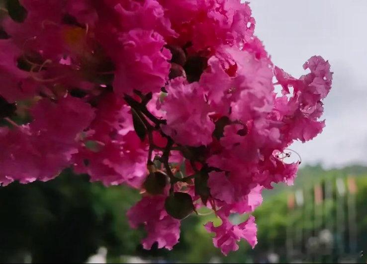 股无百日红        昨天晴空万里，今日阴雨绵绵。收盘后撑着伞散步，到处都是