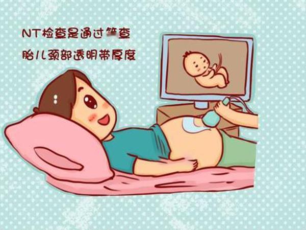 #健康真探社#【你的NT增厚是真厚还是假厚？】NT检查一般建议在孕期的11-13