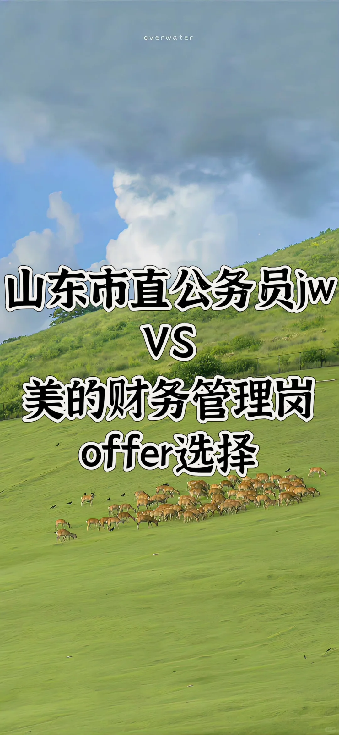 山东特色的校招offer选择😜