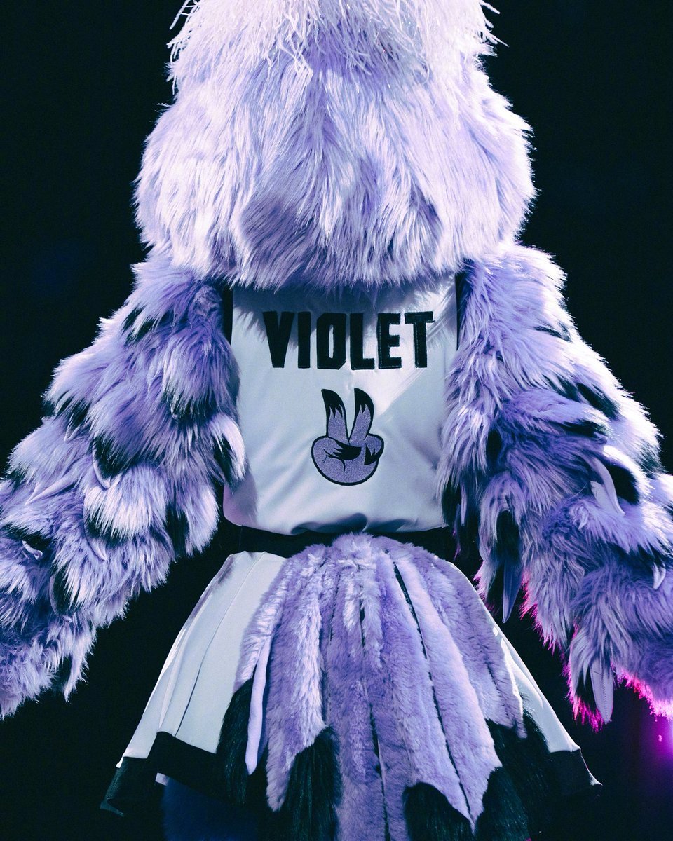 欢迎我们瓦尔基里的吉祥物—Violet小紫💜🫶金州瓦尔基里 ​​​