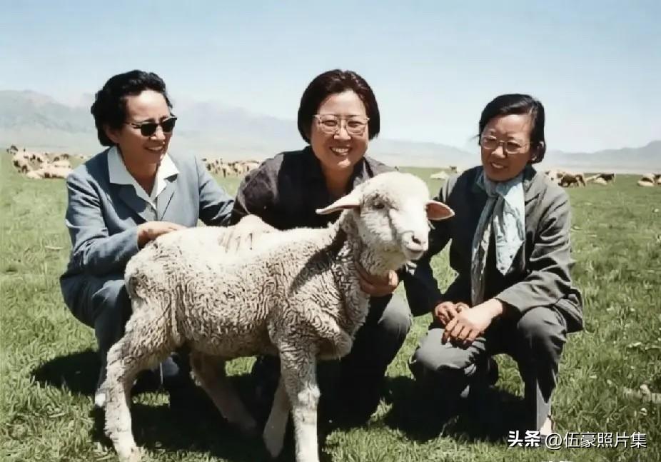 上世纪七十年代初，李先念夫人林佳楣（左）与毛主席女儿李敏（中）、赛福鼎夫人阿依木