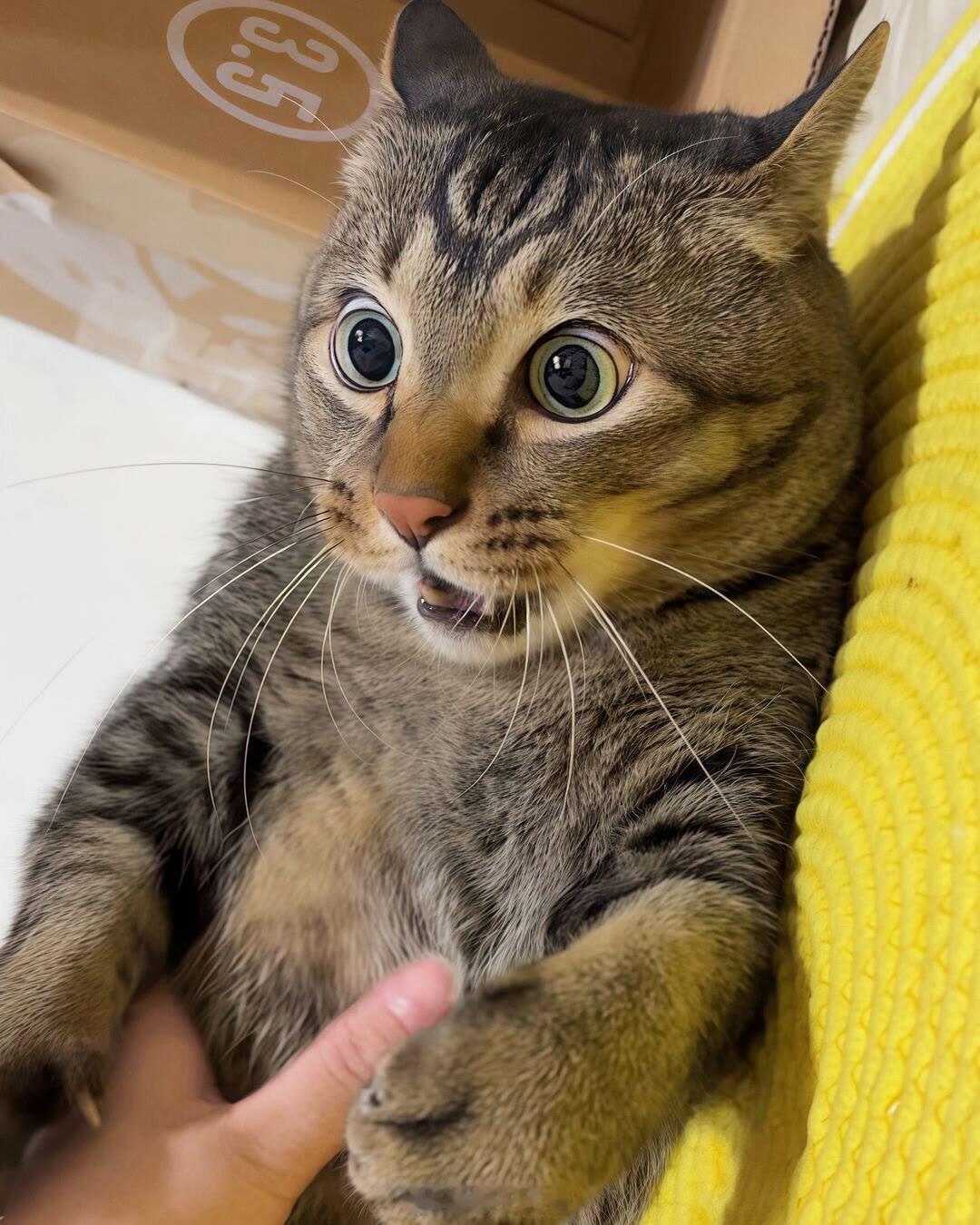 啊啊啊啊啊啊啊啊！~~~ ​​​