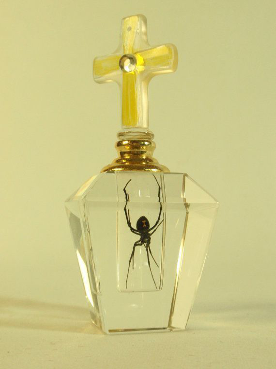 以为香水瓶装饰🕷️结果里面真的有一只黑寡妇啊 