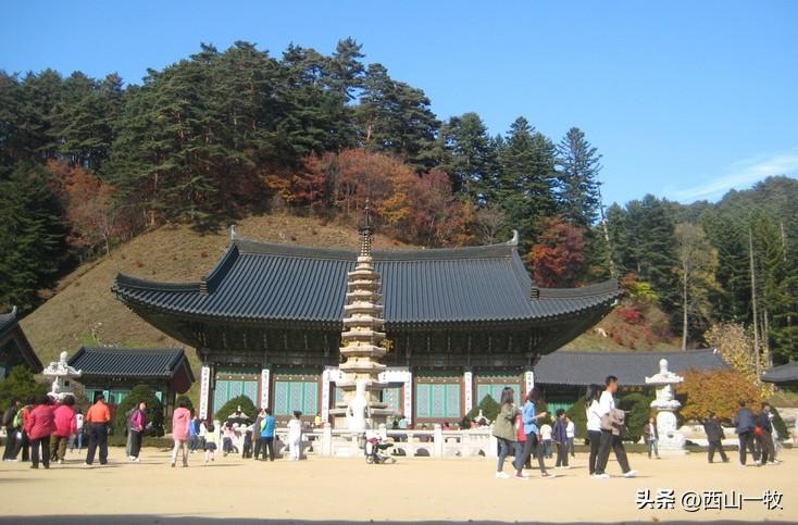 月精寺是五台山的代表性寺庙。今天说的五台山，是位于韩国江原道的山岳型公园。月精寺
