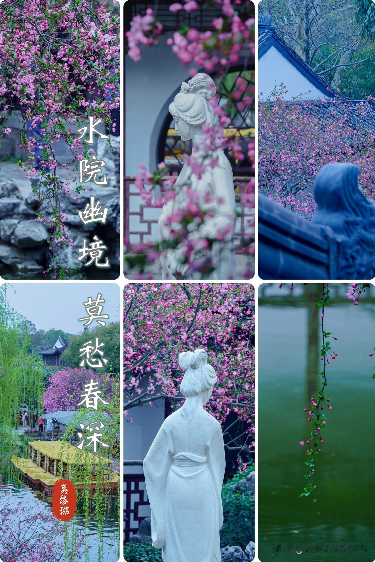 莫愁春韵｜水院幽境  莫愁春深

        金陵春深，意趣万千。莫愁湖的春